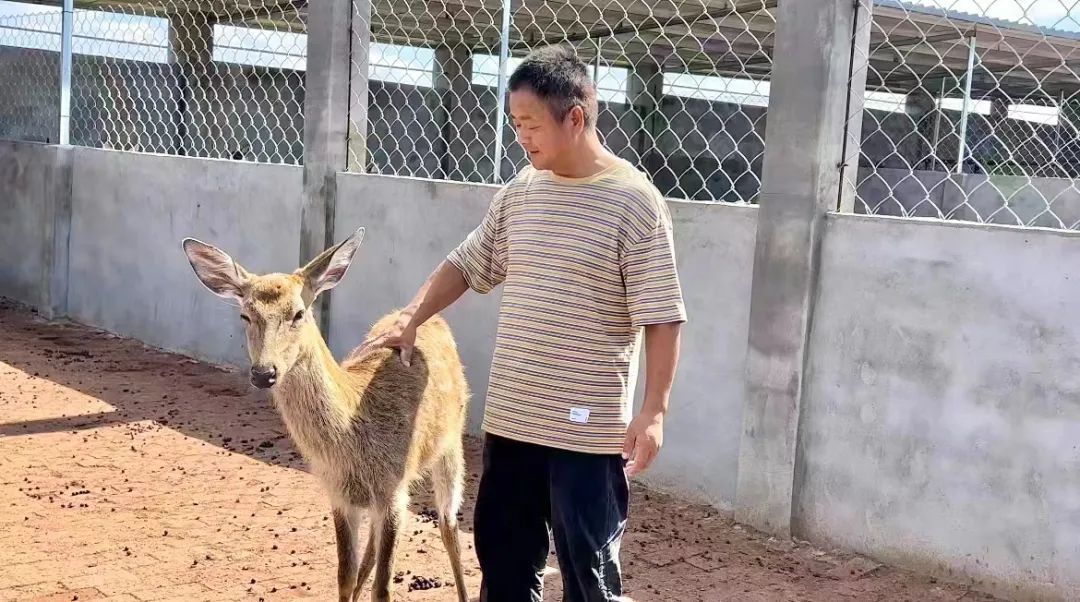 威尼斯电子游戏下载